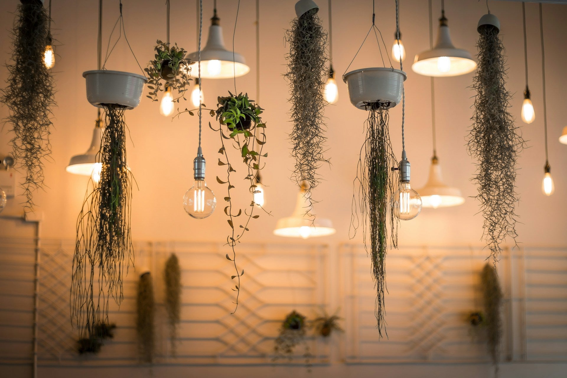 Lighting the Way to Sustainability: Eco-Friendly Lighting Tips for Your Home