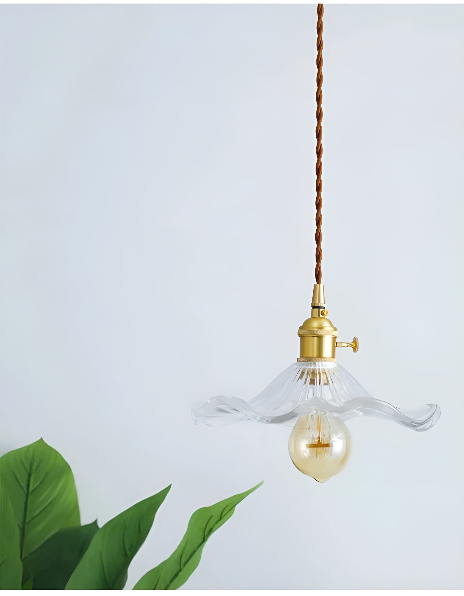 Vividra - Traditional Pendant Light